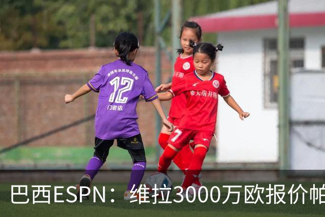 巴西ESPN：维拉3000万欧报价帕尔梅拉斯边锋阿兰遭拒